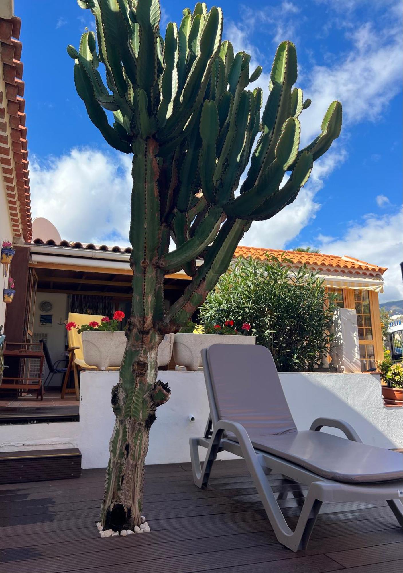 Cactus'S House, 150 M Beach, 1 Bdr, 4 Guests, Wifi, Netflix, Адехе Екстериор снимка